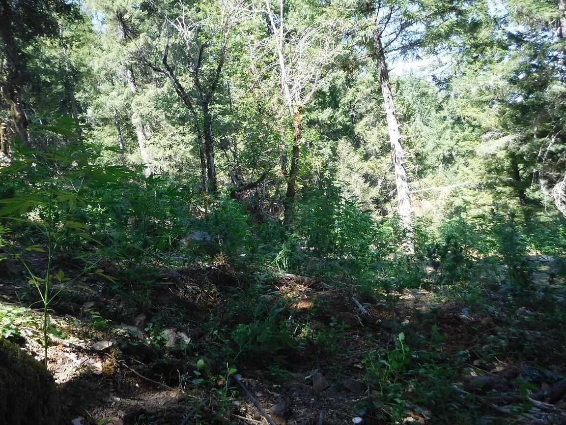 Search Warrant - Case 201603973